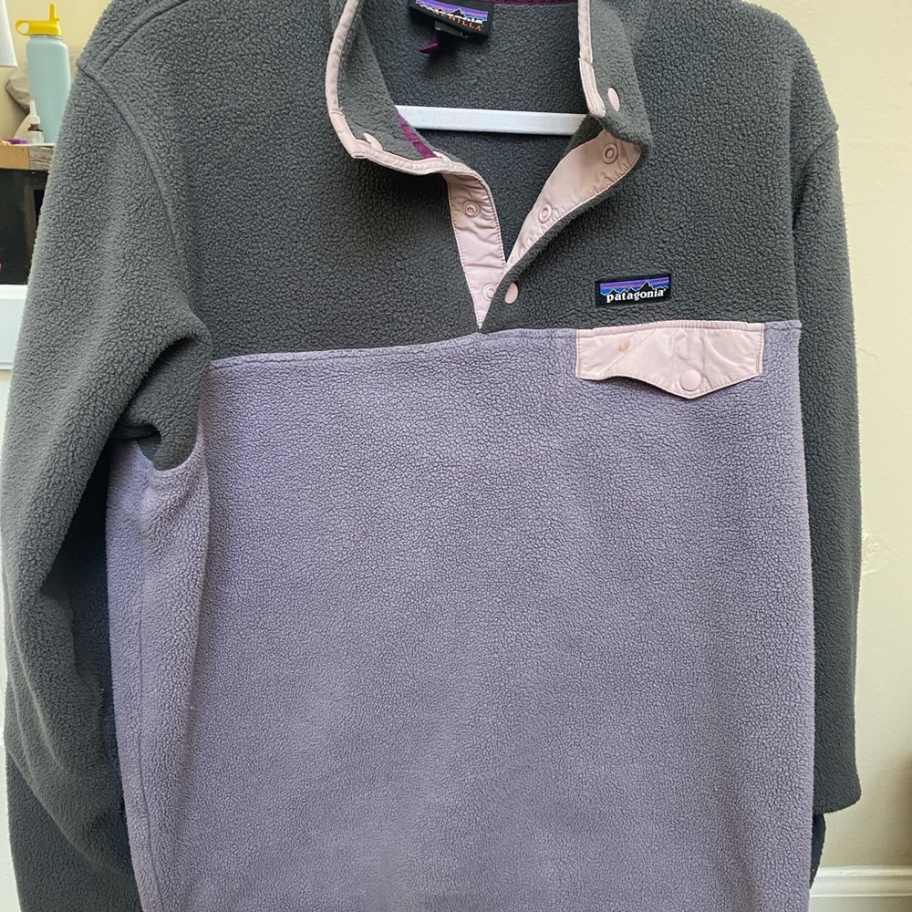 Patagonia Sweatshirt